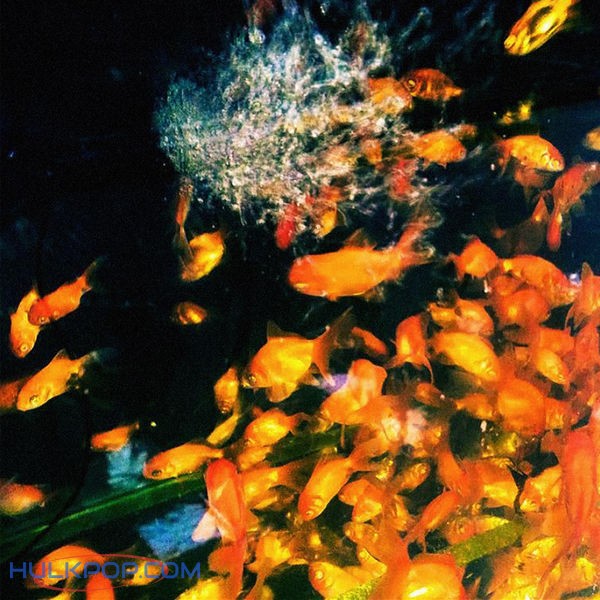 9Z – Day 1 – Single