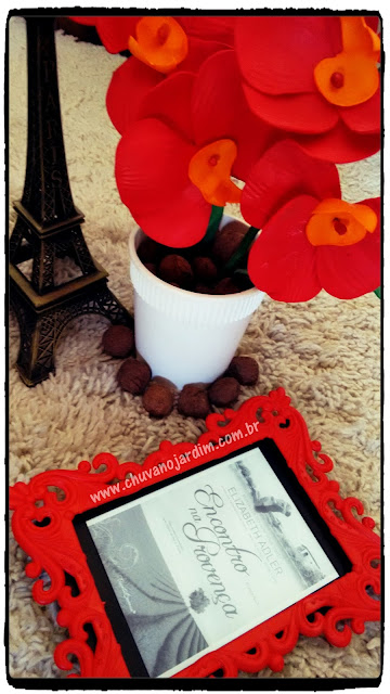 Livro Encontro na Provença www.chuvanojardim.com.br