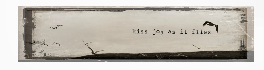 Kiss Joy as it Flies