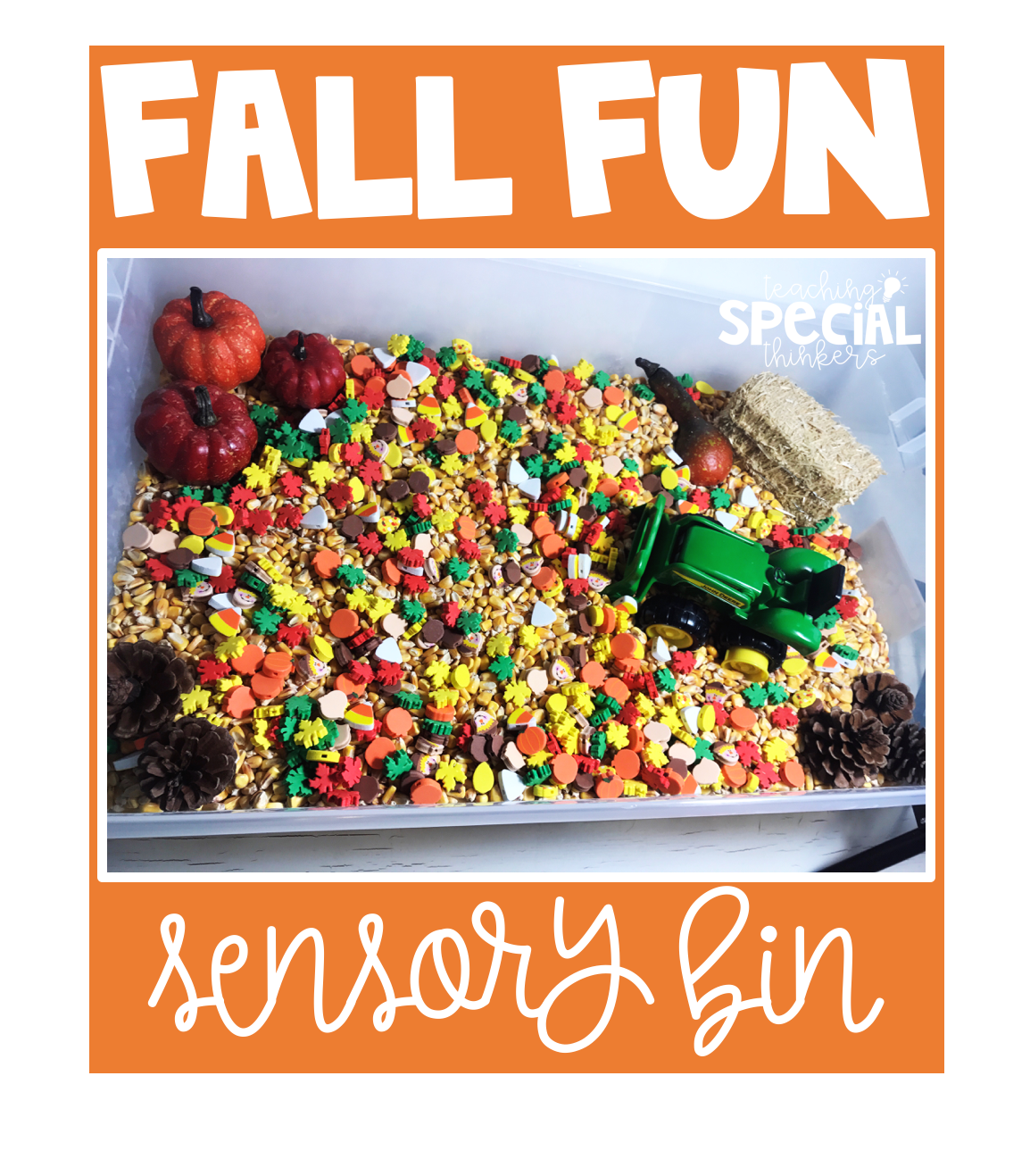 November Sensory Bin Fall Farm Fun!
