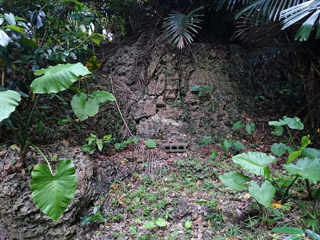 渡嘉敷グスク(渡嘉敷の嶽) 渡嘉敷グスク(渡嘉敷の嶽)の写真