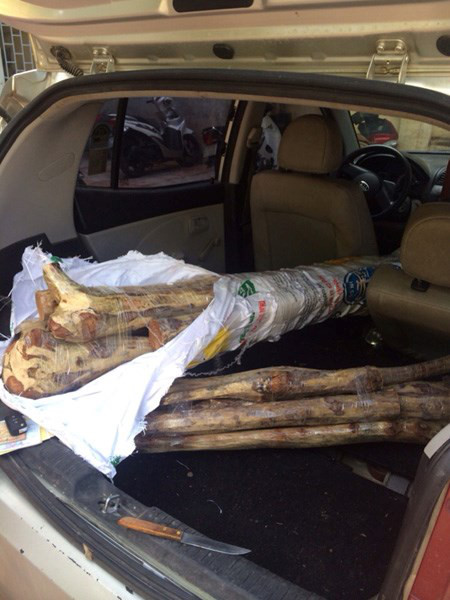 Nguy trang 15 suc go sua trong xe Kia morning Van van khong qua duoc CSGT - Anh 2