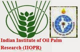 Indian Institute of Oil Palm Research (IIOPR) 