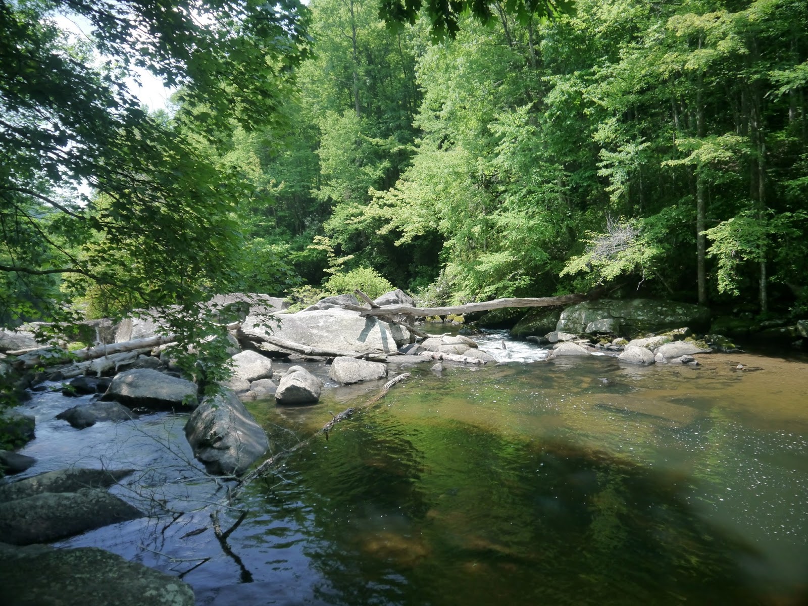 American Travel Journal Rainbow Falls State Park / Pisgah National Forest