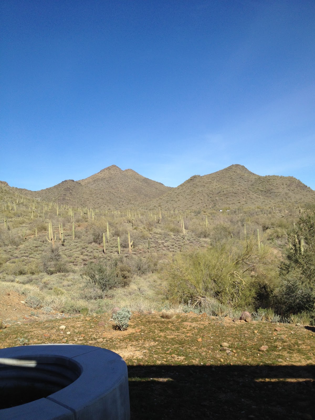 Adventures of a 50+ year old! Great Weekend In Cave Creek Arizona!