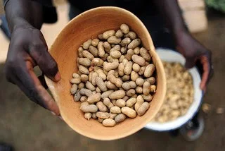 Photo of groundnuts and peanuts