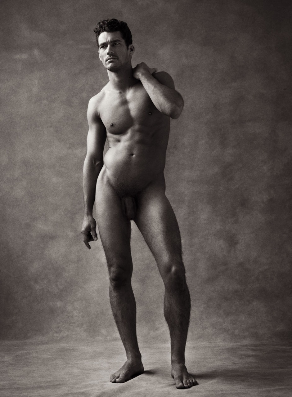 Anaya-Lucca Homotography