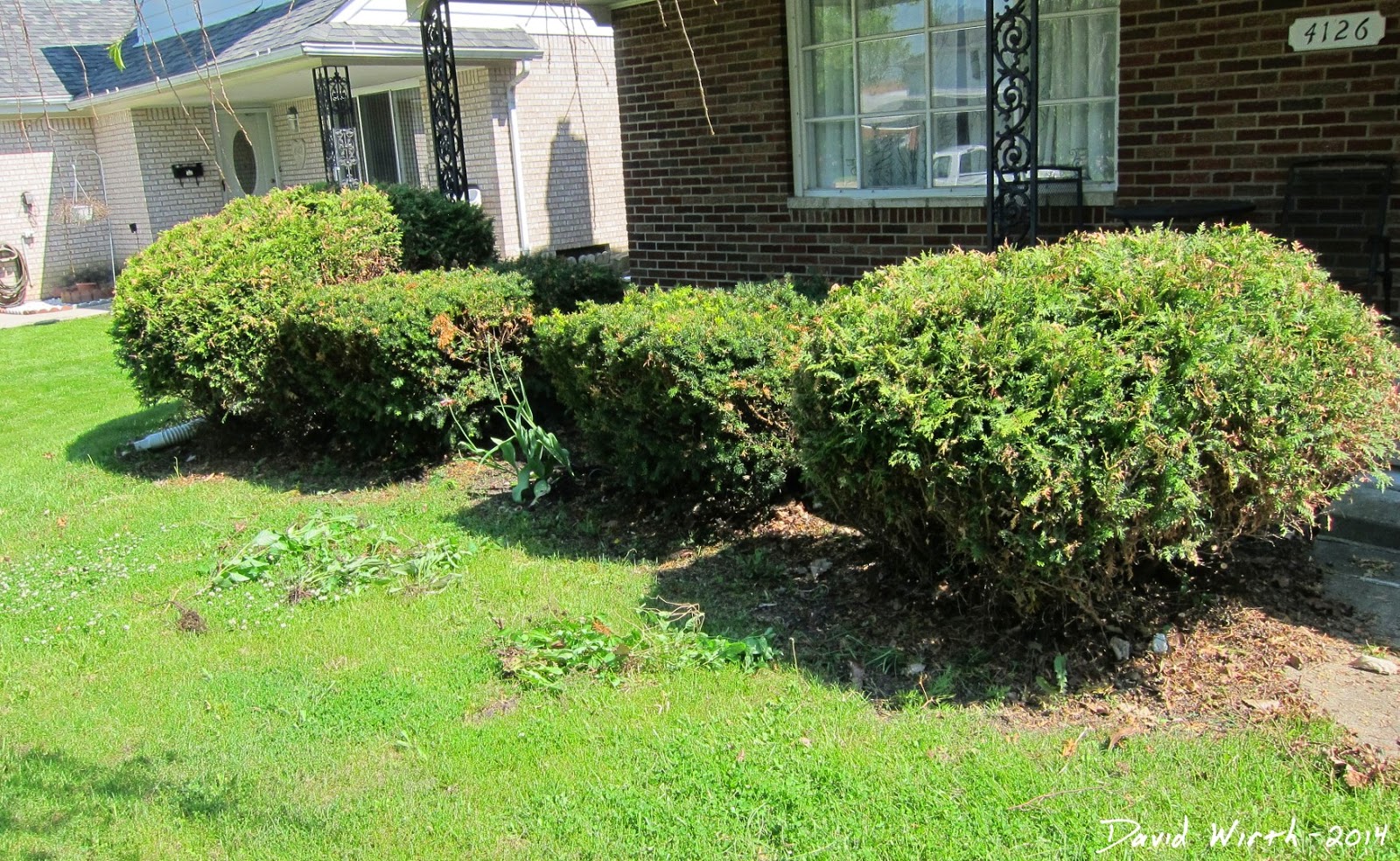 how to improve a front yard, edging, mulch