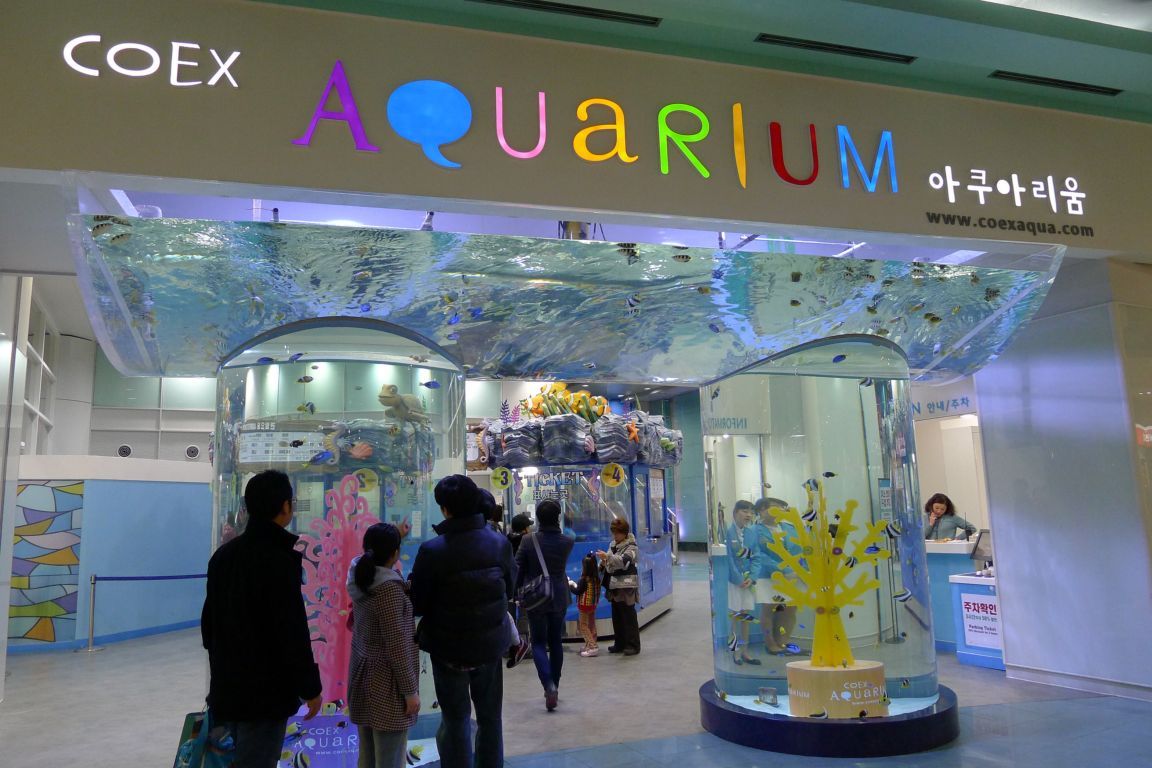 LOVE KOREA COEX Aquarium love-korea-coex-aquarium