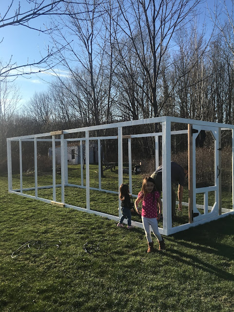 Ruple Farms Chicken Coop construction + assembly