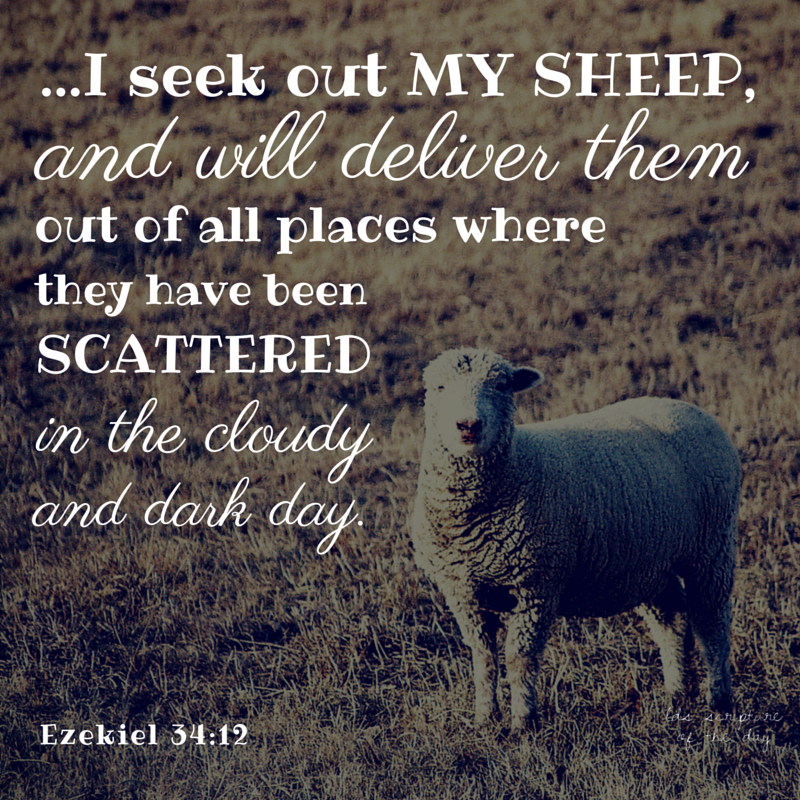 LDS Scripture Of The Day April 2015 lds-scripture-of-the-day-april-2015