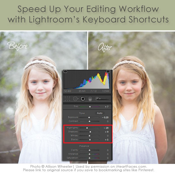 10 Useful Adobe Lightroom Tutorials Freebies Blog