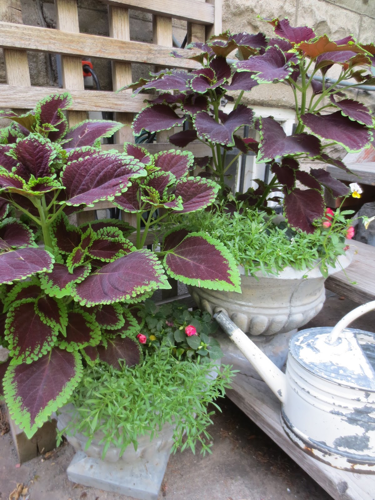 French Country Style from the Foot of the Rockies: French Country