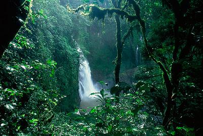 selva amazónica