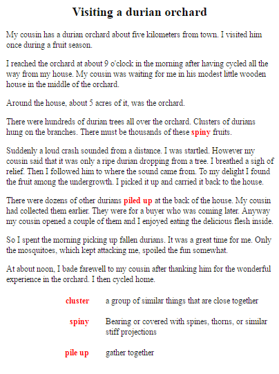 Memories of grandparents essays picture