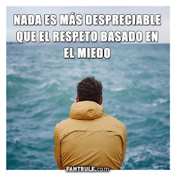 frases perfil cortas reflexion whatsapp imagenes palabras pensar fantrule vida deja pajaro volar triste estar amor