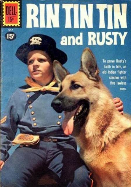 Cachorro do rin tin tin Clearance