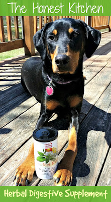 doberman resuce dog honest kitchen digestive supplement