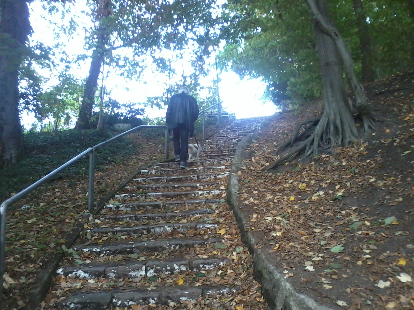 Armut In Deutschland September 2018