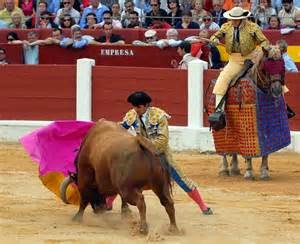 OVIEDO TOROS