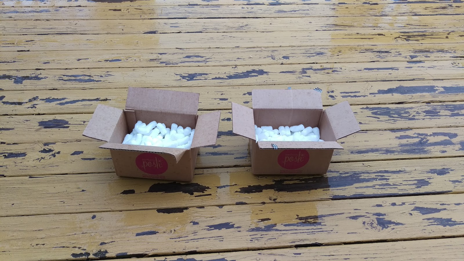 The Cool Science Dad Dissolving Styrofoam