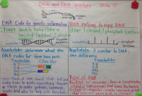 Mrs. Paul - Biology: Biology Notes/Charts 2015-2016