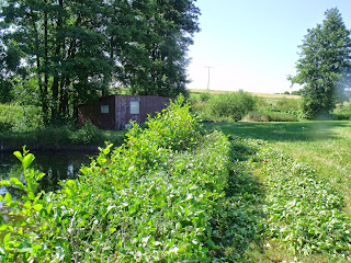 Erlenhecke am Weiher schneiden (c) by Joachim Wenk Erlenhecke am Weiher schneiden (c) by Joachim Wenk
