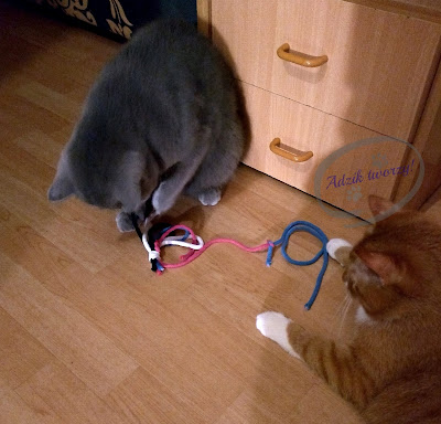 Adzik tworzy - zabawka dla kotów DIY ze sznurków