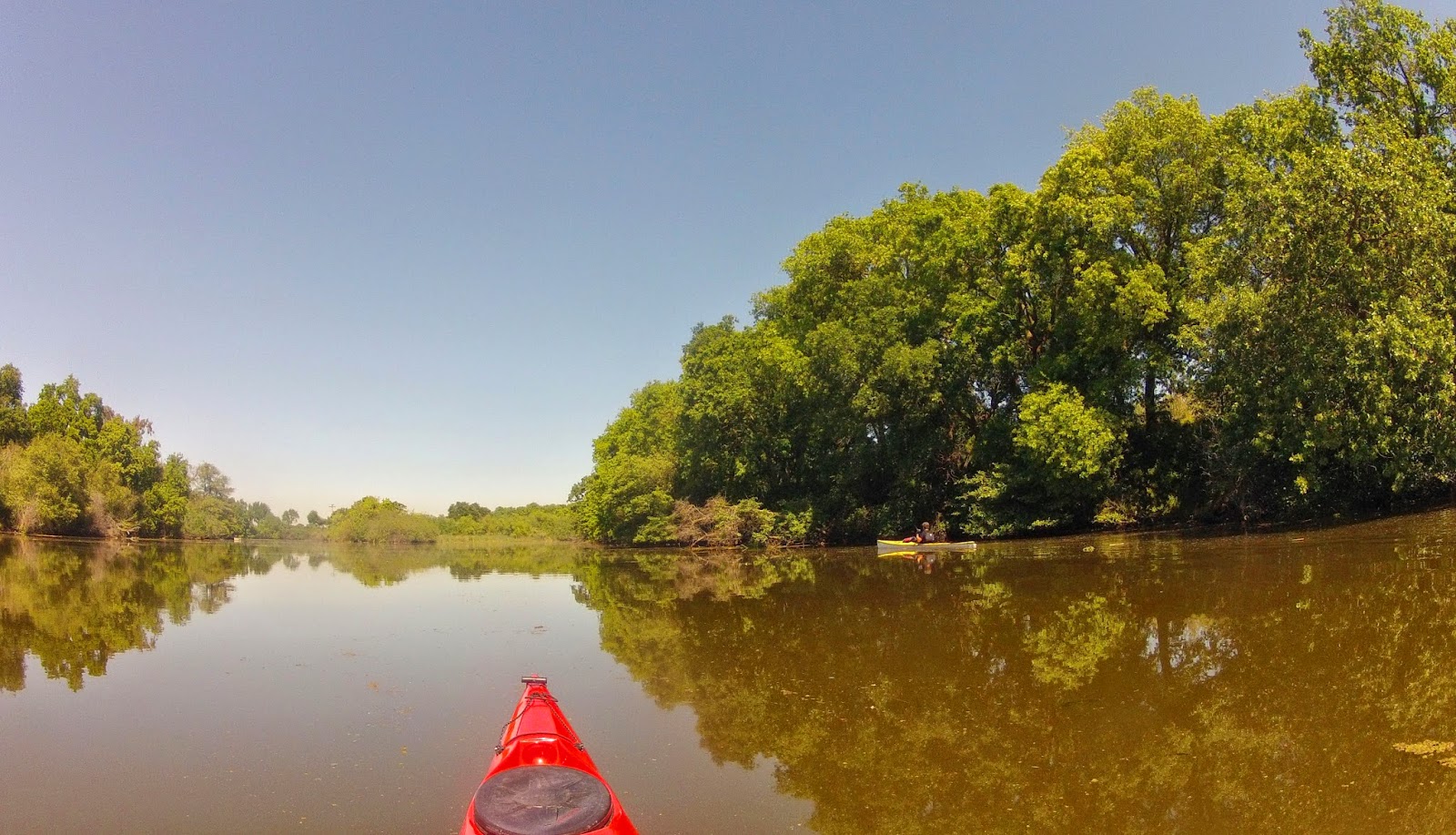 Kayaking the California Delta Delta Meadows and Lost Slough