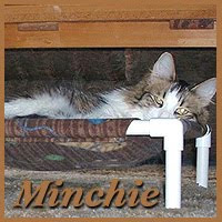 Minchie