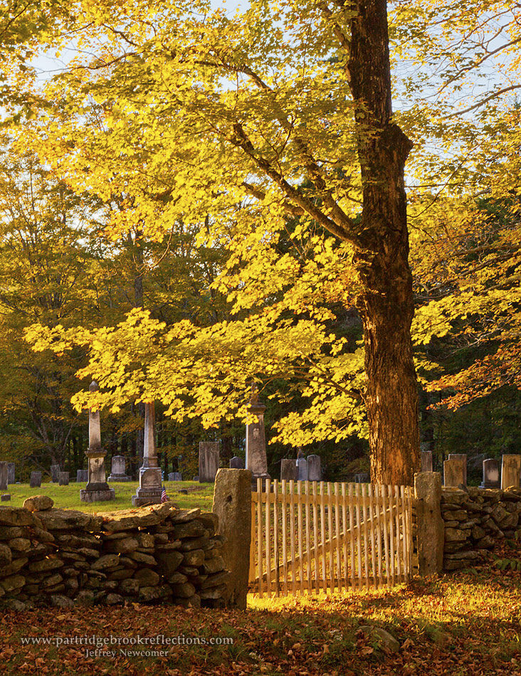 Getting it Right in the Digital Camera Newfane Vermont Album