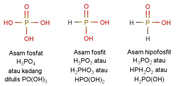 Keunikan H3po4 H3po3 H3po2 Urip Dot Info Keunikan H3po4 H3po3 H3po2 Urip Dot Info