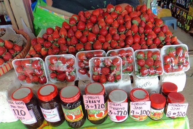 swazigirl-strawberry-farm-baguio