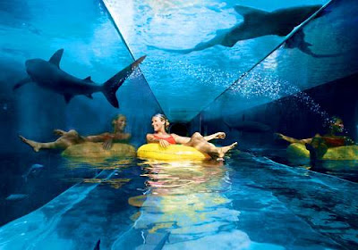 http://2.bp.blogspot.com/-m-_XAhWRxH4/T4pK8CnOucI/AAAAAAAAbPM/0qc91g-RbzQ/s1600/atlantis-hotel-in-dubai-shark-tank.jpg