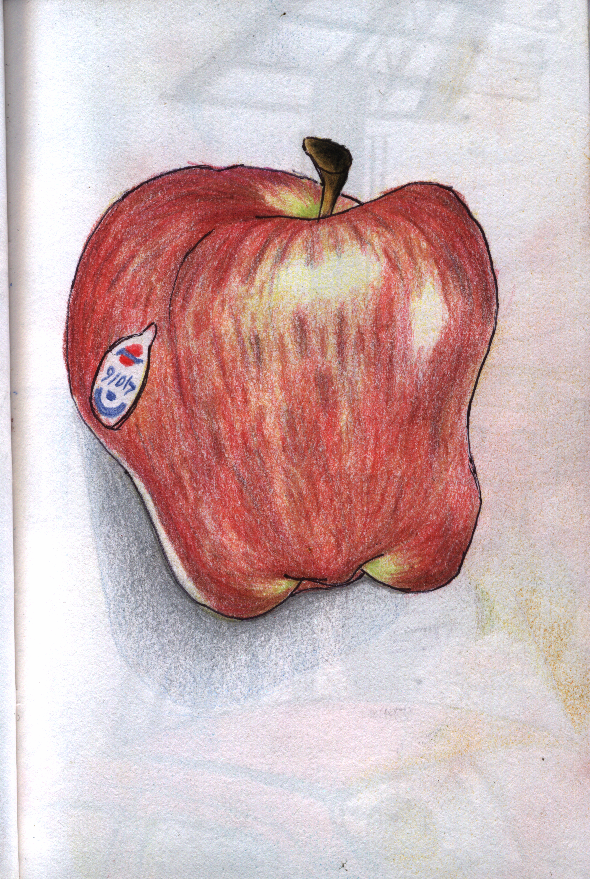 Cuaderno de Dibujos y bosquejos | Sketch drawing: Sketch de una manzana con  prismacolor.