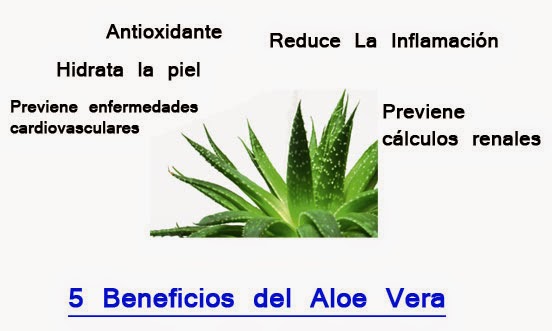 ALOE-VERA-PARA-EL-ACNE