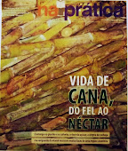 Jornal laboratório, Metodista