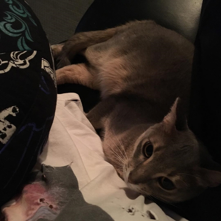 %25ED%2581%25AC%25EA%25B8%25B0%25EB%25B3