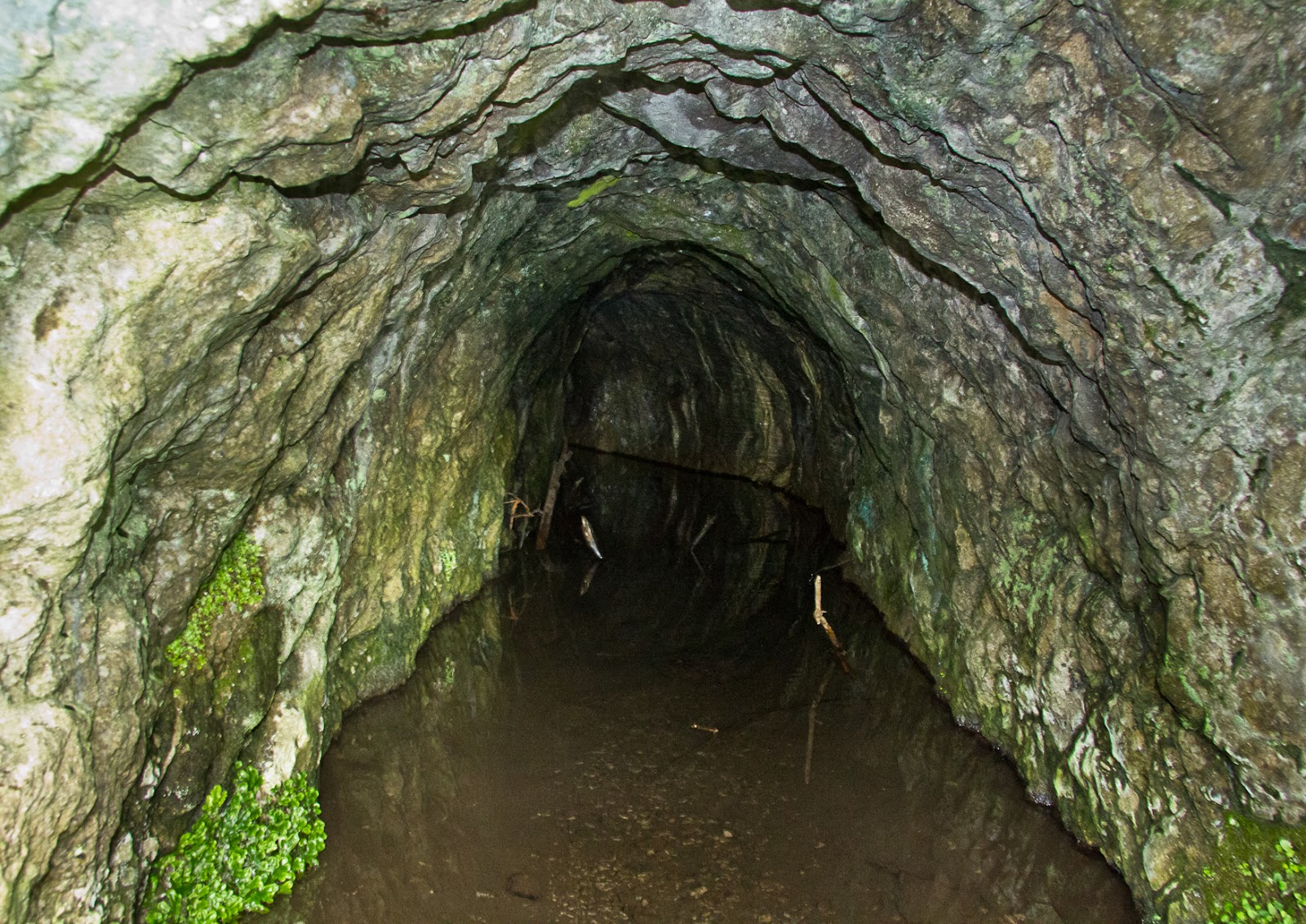 Zenfolio Alto Photo Prestatyn and Rheadr Dyserth waterfalls