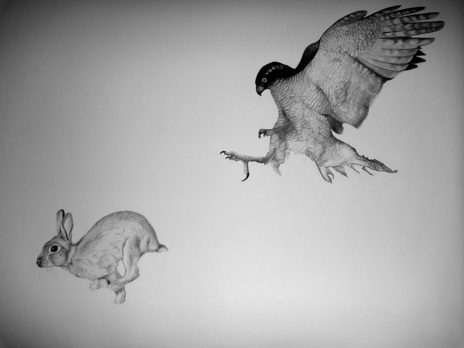 Poszukiwanie mgły: You are the bird and the rabbit too.