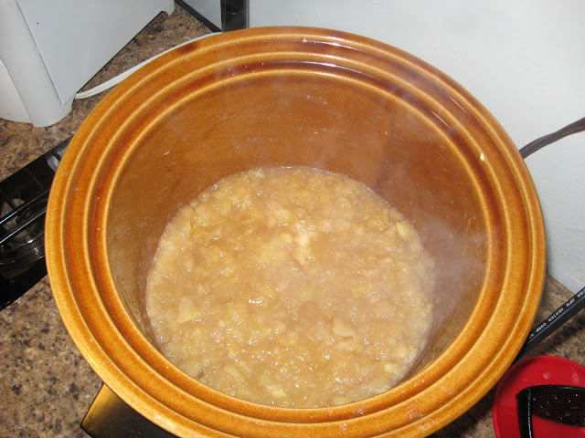 Slow Cooker Applesauce