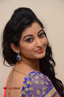 Actress Tejaswini Pictures in Saree at Pratikshanam Audio Launch  0060