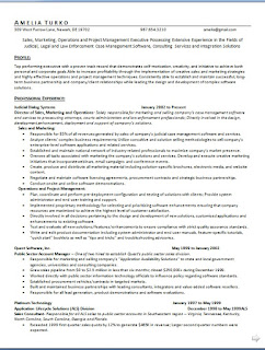 Account Manager Resume With Career Objective Format in ...