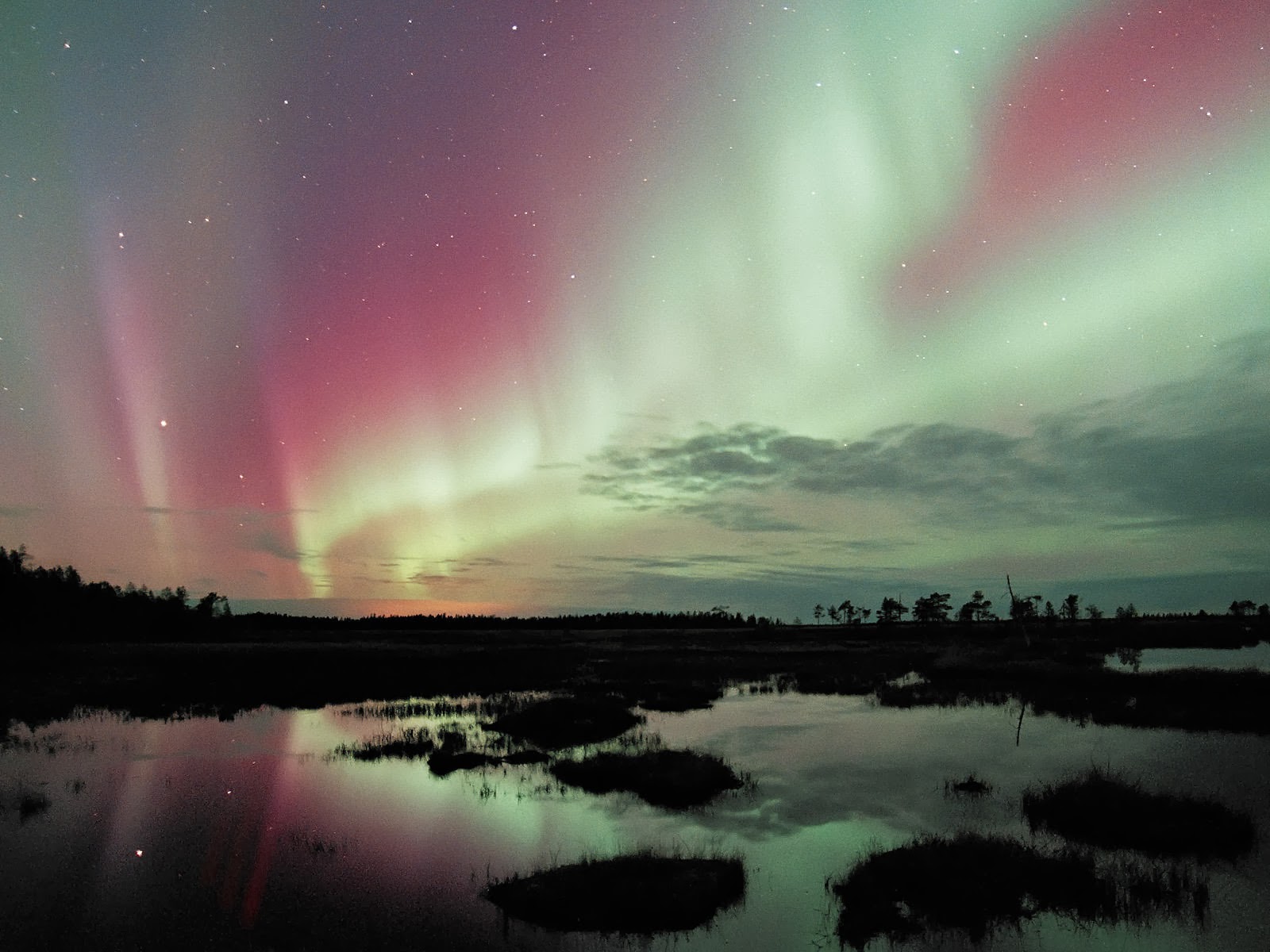 The Agatelady: Adventures and Events: Best Northern Lights Photos