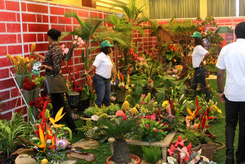 Photos from Nigeria's first Garden and Flower show..