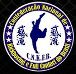 International Bukeikoryu Karate And Kick Boxing Organization