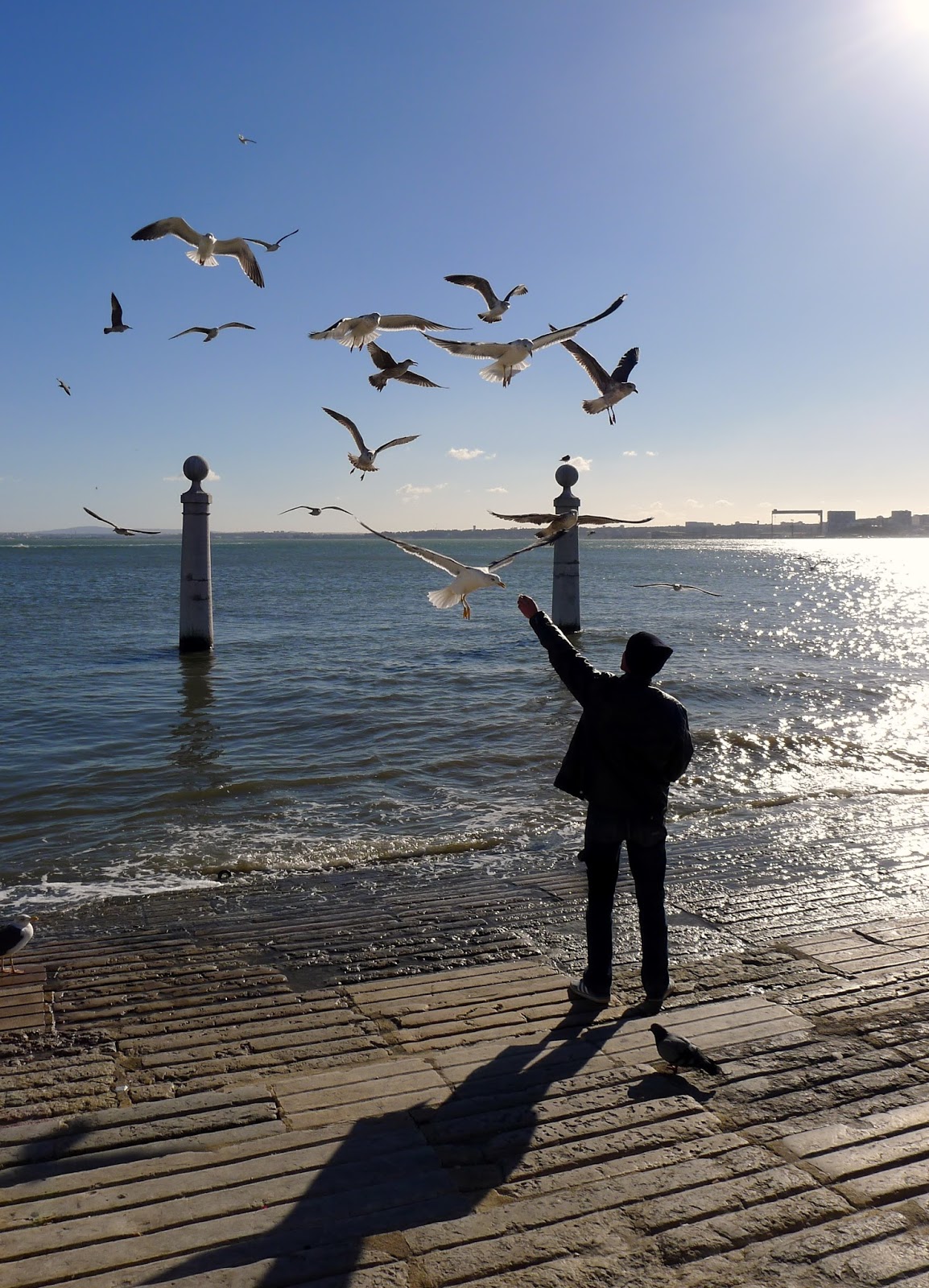 Razón del Gusto Diario de Viaje Lisboa, Portugal