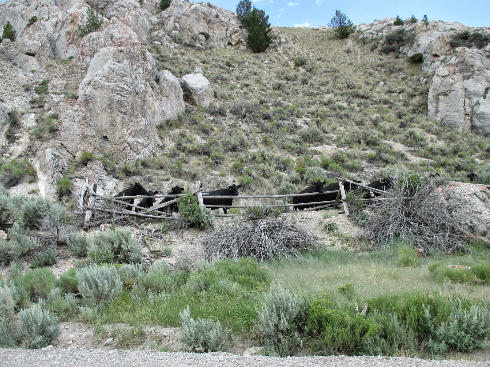 Continental Divide Ride 2014 Day 5; CDT 3 Butte, Mt to Lima, MT