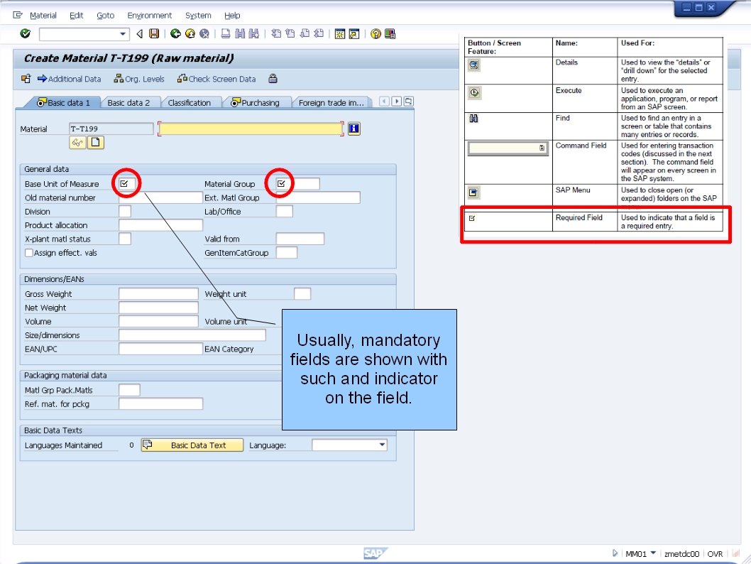 青蛙SAP分享 Froggy's SAP sharing N13 SAP Buttons/ICONS Explained