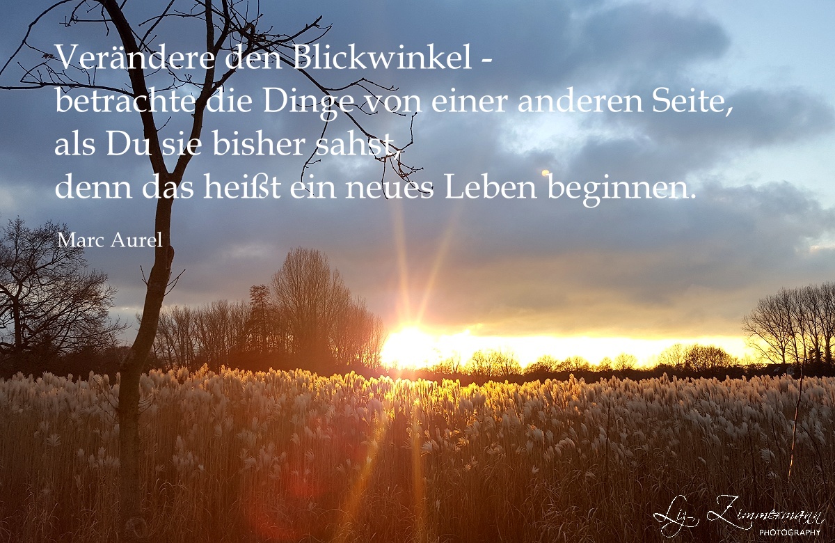 400+ best weihnachtssprüche schöne images in 2020 Zitat im Bild #82